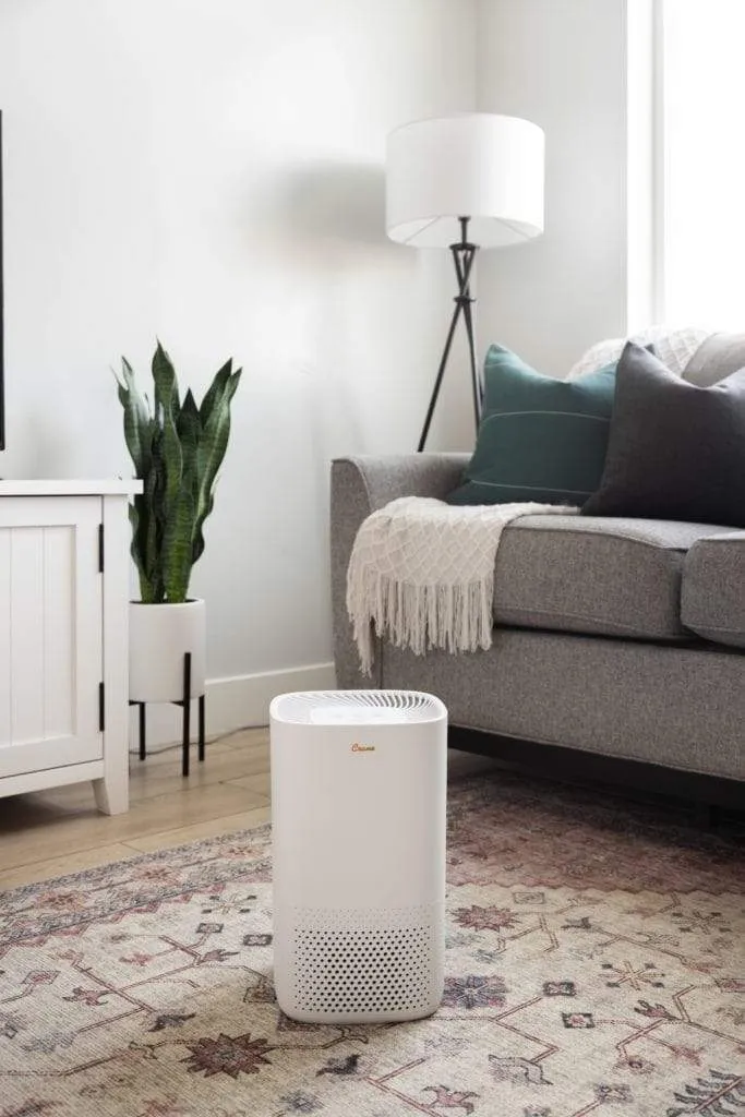 Crane True HEPA Air Purifier Small