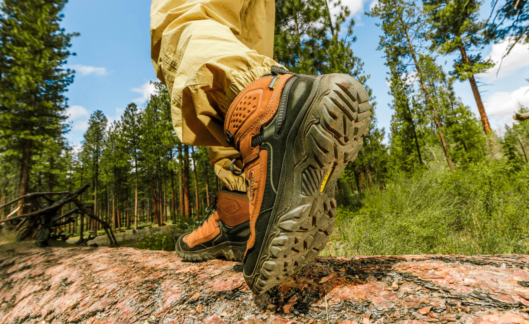 Men's Targhee IV Waterproof Hiking Boot  |  Brindle/Canteen