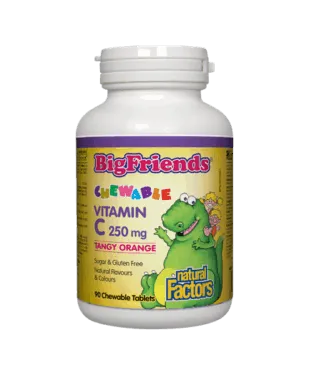 Natural Factors Big Friends Chewable Vitamin C 250mg Tangy Orange 90 Chewable Tablets